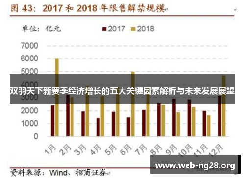 双羽天下新赛季经济增长的五大关键因素解析与未来发展展望