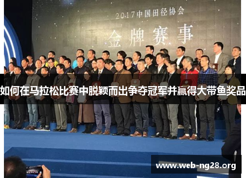 如何在马拉松比赛中脱颖而出争夺冠军并赢得大带鱼奖品