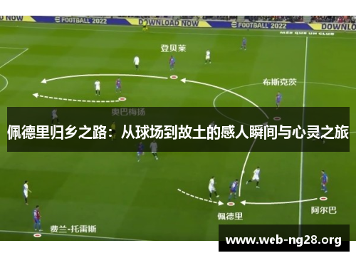 佩德里归乡之路：从球场到故土的感人瞬间与心灵之旅
