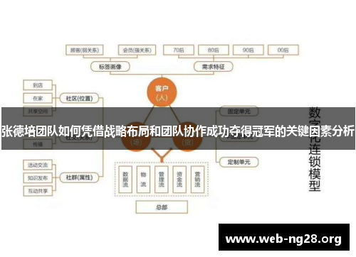 张德培团队如何凭借战略布局和团队协作成功夺得冠军的关键因素分析