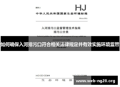如何确保入河排污口符合相关法律规定并有效实施环境监管