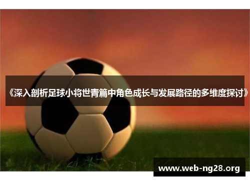 《深入剖析足球小将世青篇中角色成长与发展路径的多维度探讨》