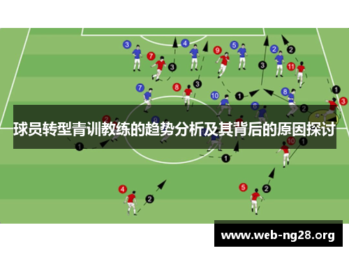 球员转型青训教练的趋势分析及其背后的原因探讨