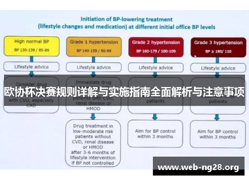 欧协杯决赛规则详解与实施指南全面解析与注意事项